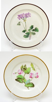 Lot 497 - Derby botanical plate, Swansea botanical plate