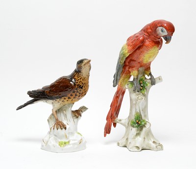 Lot 538 - Meissen song thrush and Naples Parrot