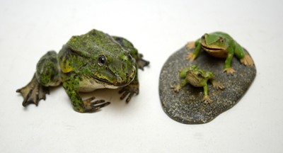 Lot 303 - Three cold painted bronze frog figures