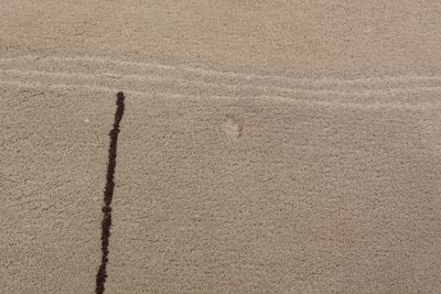 Lot 662 - Toulemonde Bochart: a Jason pattern rug.