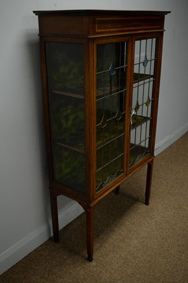 Lot 152 - Edwardian display case.