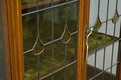 Lot 152 - Edwardian display case.