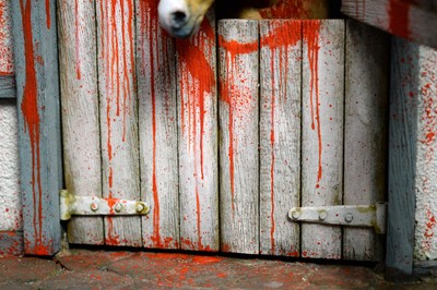 Lot 685 - Banksy (b.1974) - Merrivale Stable