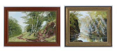 Lot 116 - Terry Evans - oil on canvas