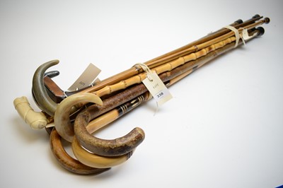 Lot 338 - Selection of walking sticks and canes.