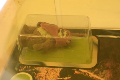 Lot 274 - Star Wars Return of the Jedi Wicket W. Warrick carded figure