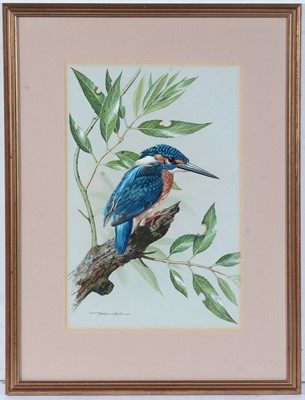 Lot 56 - Basil Ede - watercolour