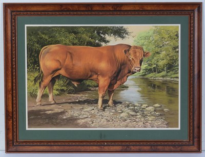 Lot 163 - Robert Nicholls - pastel