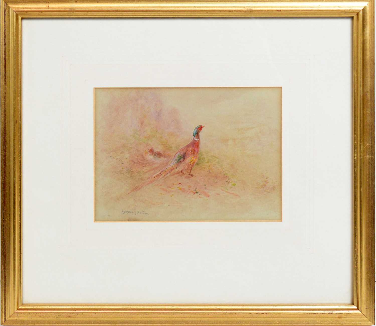 Lot 242 - Harry Stinton - watercolour