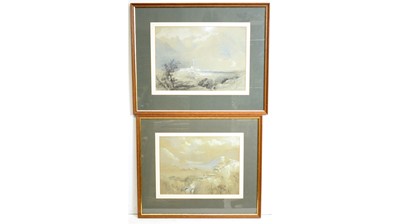 Lot 762 - Thomas Miles Richardson - en grisaille charcoal and gouache