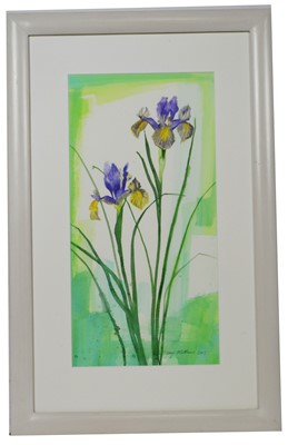 Lot 649 - Jenny Matthews - watercolour