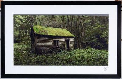 Lot 481 - Dan Bolam - Cabin the in the Woods | photograph