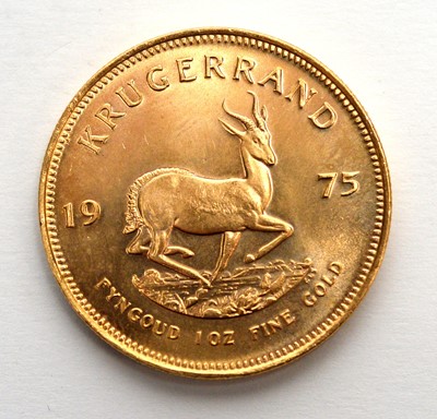 Lot 223 - South Africa 1oz fine gold Krugerrand, 1975.
