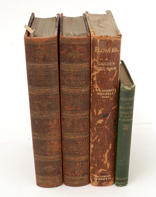 Lot 152 - Natural History - Fauna.