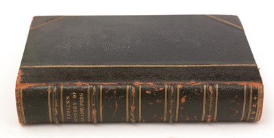 Lot 229 - Local History - Newcastle.