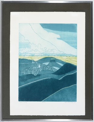 Lot 20 - After John Brunsdon - aquatint