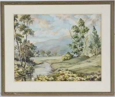 Lot 79 - James F. Watson - Daffodil Time, Callander Scotland | watercolour