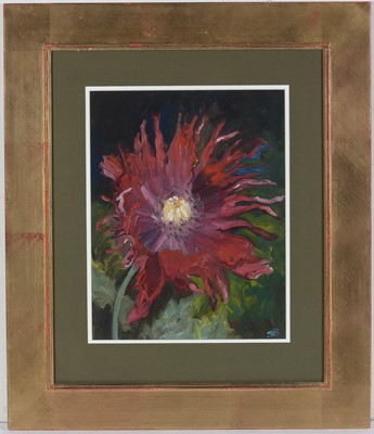 Lot 127 - 20th Century British School - Feathered Poppy | oil