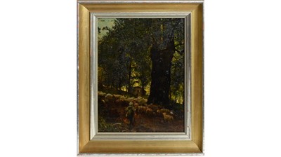 Lot 798 - Paul Schaan - The Sheep Drive | oil