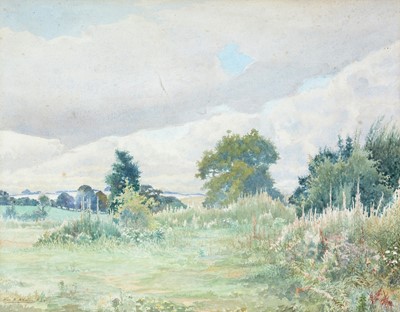 Lot 74 - Alexander Matheson McLellan RSW - Wildflower Meadow | watercolour