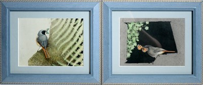 Lot 751 - Alistair Robertson - Finches Catching Butterflies | watercolour