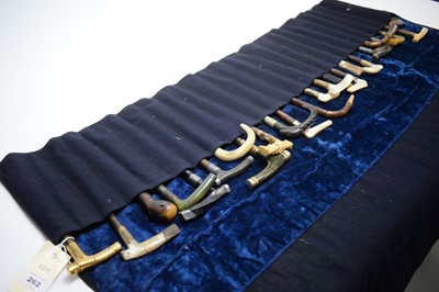 Lot 262 - A collection of cane or parasol handles.