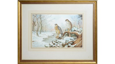 Lot 71 - Carl Donner - Midwinter Falcons | watercolour