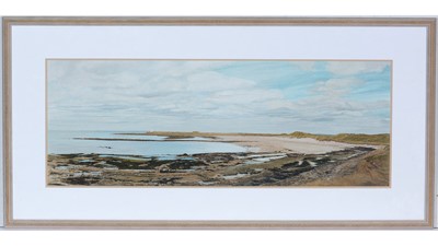Lot 804 - Derwent Wise - Sandon Bay, Holy Island | acrylic