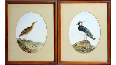 Lot 107 - Ada Duncan - Lapwing, and Corn Crake | oil wash