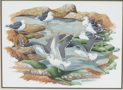 Lot 779 - David Binns - Seagulls at a Rock Pool | watercolour