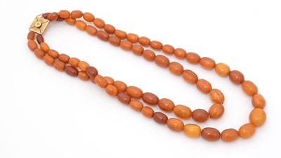 Lot 504 - A double row amber bead necklace