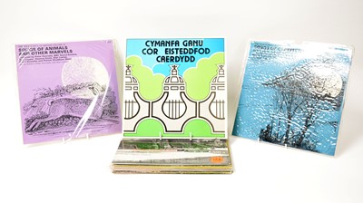 Lot 38 - A selection of folk LPs.