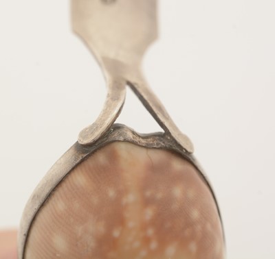 Lot 68 - A George III silver-mounted natural shell caddy spoon.