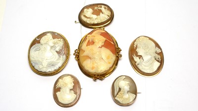 Lot 136 - A selection of carved shell cameo brooches