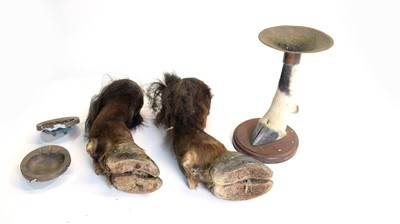 Lot 981 - Taxidermy: Cape Buffalo front legs; and another.