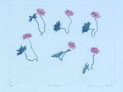 Lot 19 - Rosamund Jones RE - Sea Pinks; a pair of botanical studies | colour etchings