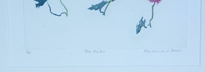 Lot 19 - Rosamund Jones RE - Sea Pinks; a pair of botanical studies | colour etchings