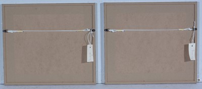 Lot 19 - Rosamund Jones RE - Sea Pinks; a pair of botanical studies | colour etchings