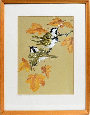 Lot 768 - John Crank - Coal Tits | gouache