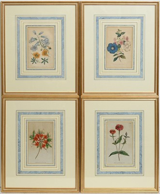Lot 704 - 18th and 19th Century Botanical Studies - Four Floral Specimens | hand-tinted engravings
