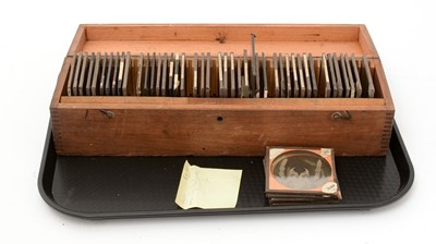 Lot 23 - A collection of early 20th Century Magic Lantern slides of microscope slides