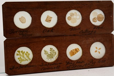 Lot 32 - A set of five mahogany framed microscope Magic Lantern slides