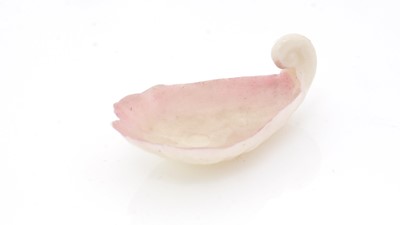 Lot 248 - A rare Beleek porcelain caddy spoon