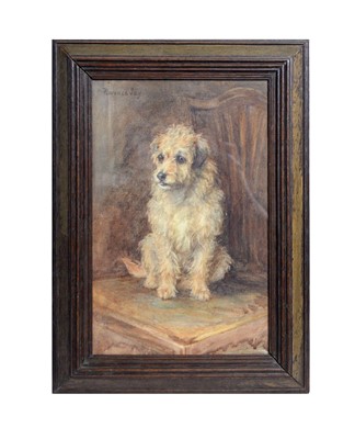 Lot 1082 - Florence Jay - Portrait of a Border Terrier | watercolour