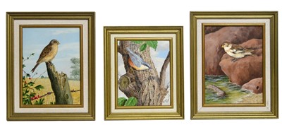 Lot 1134 - William Bird - Three Ornithological Studies | oil