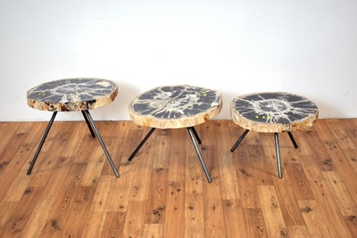 Lot 37 - A set of three contemporary petrified wood coffee table