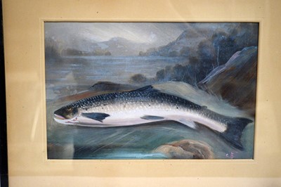 Lot 768 - 19th Century British School - Four fish studies | gouache