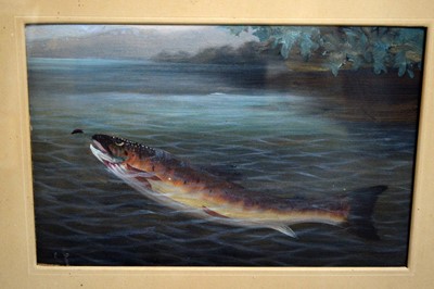 Lot 768 - 19th Century British School - Four fish studies | gouache