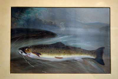 Lot 768 - 19th Century British School - Four fish studies | gouache