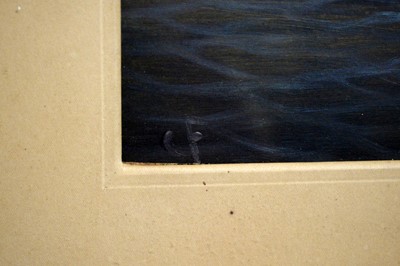 Lot 768 - 19th Century British School - Four fish studies | gouache